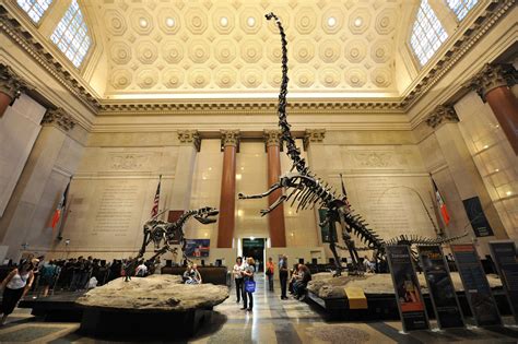 museum of natural history new york city